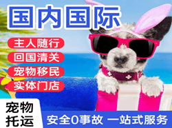 大兴航空货运国际宠物托运 【国